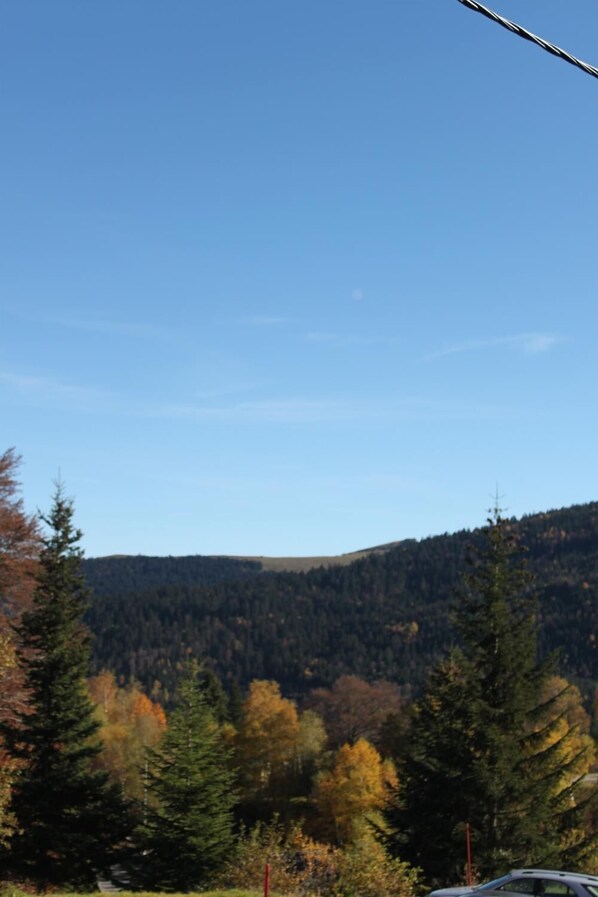 A mountainous landscape with dense forests and a clear sky. - Chalet Hotel Les Marmottes (Montferrier)