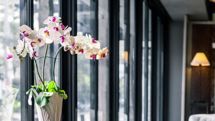 Lnimman Chiangmai Boutique Hotel