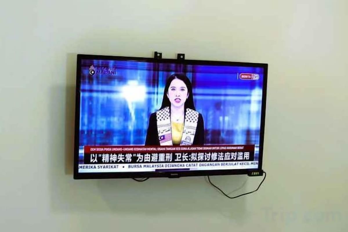 Television