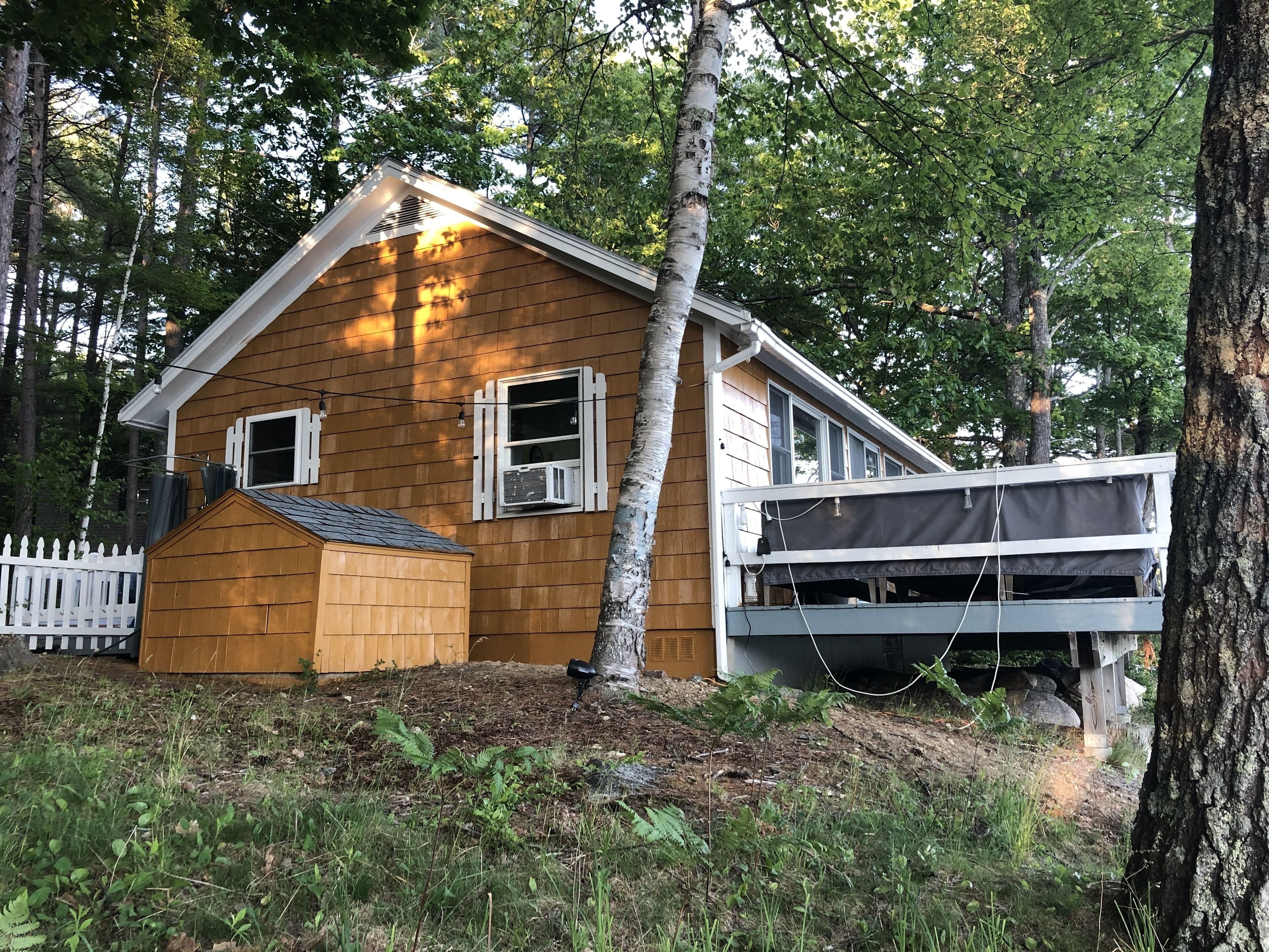 Une cabane en bois avec un petit abri, entourée d’arbres.