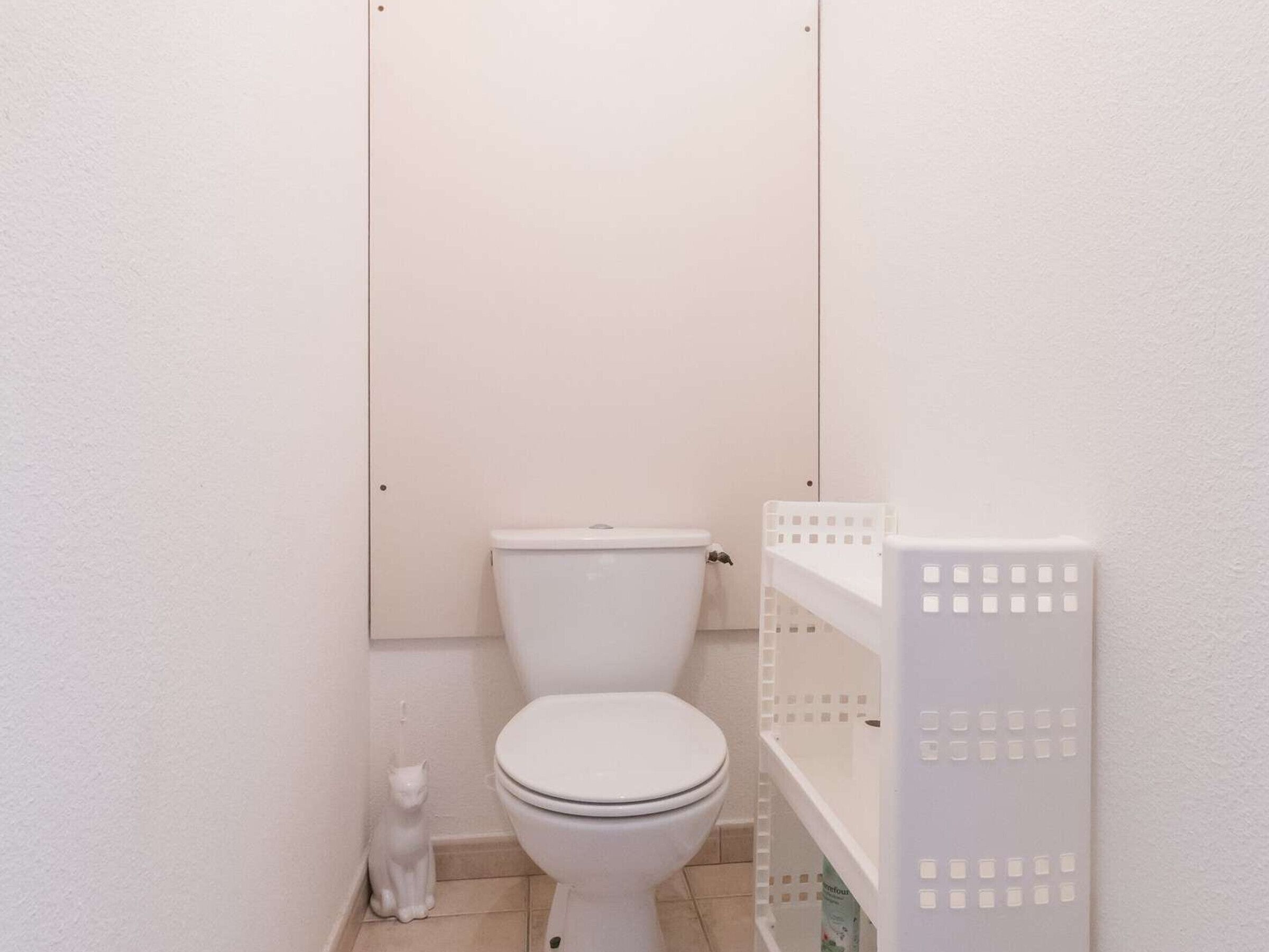 A small, white toilet in a bathroom with a white cat sitting on the floor beside it.