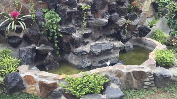 Taman