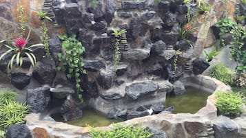 Taman