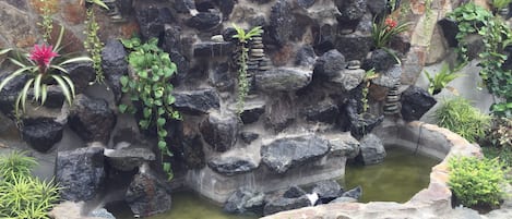 Jardin