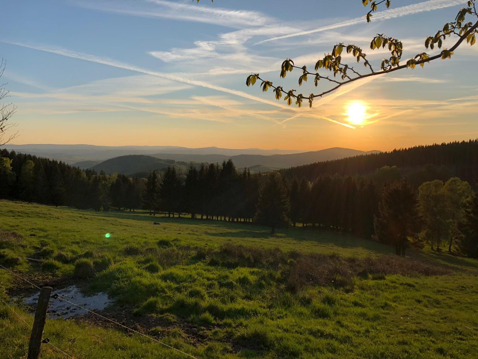 A grassy field with a fence, trees, and a sunset in the background.