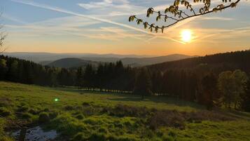 A grassy field with a fence, trees, and a sunset in the background.