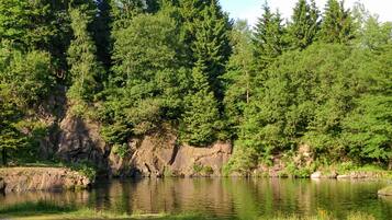 A serene lakeside setting with dense forest and a rocky shoreline.