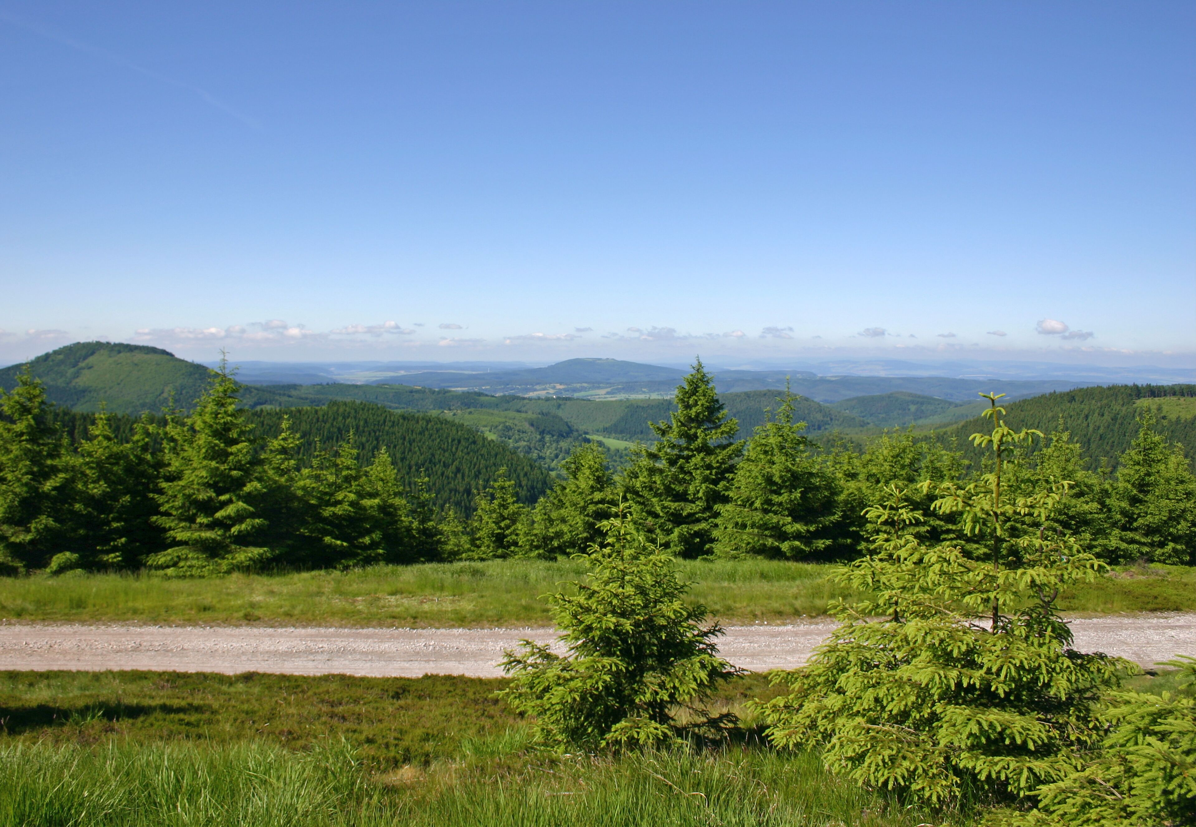Un paysage naturel avec un sentier de terre, une forêt verdoyante et touffue, et des collines lointaines sous un ciel bleu dégagé.