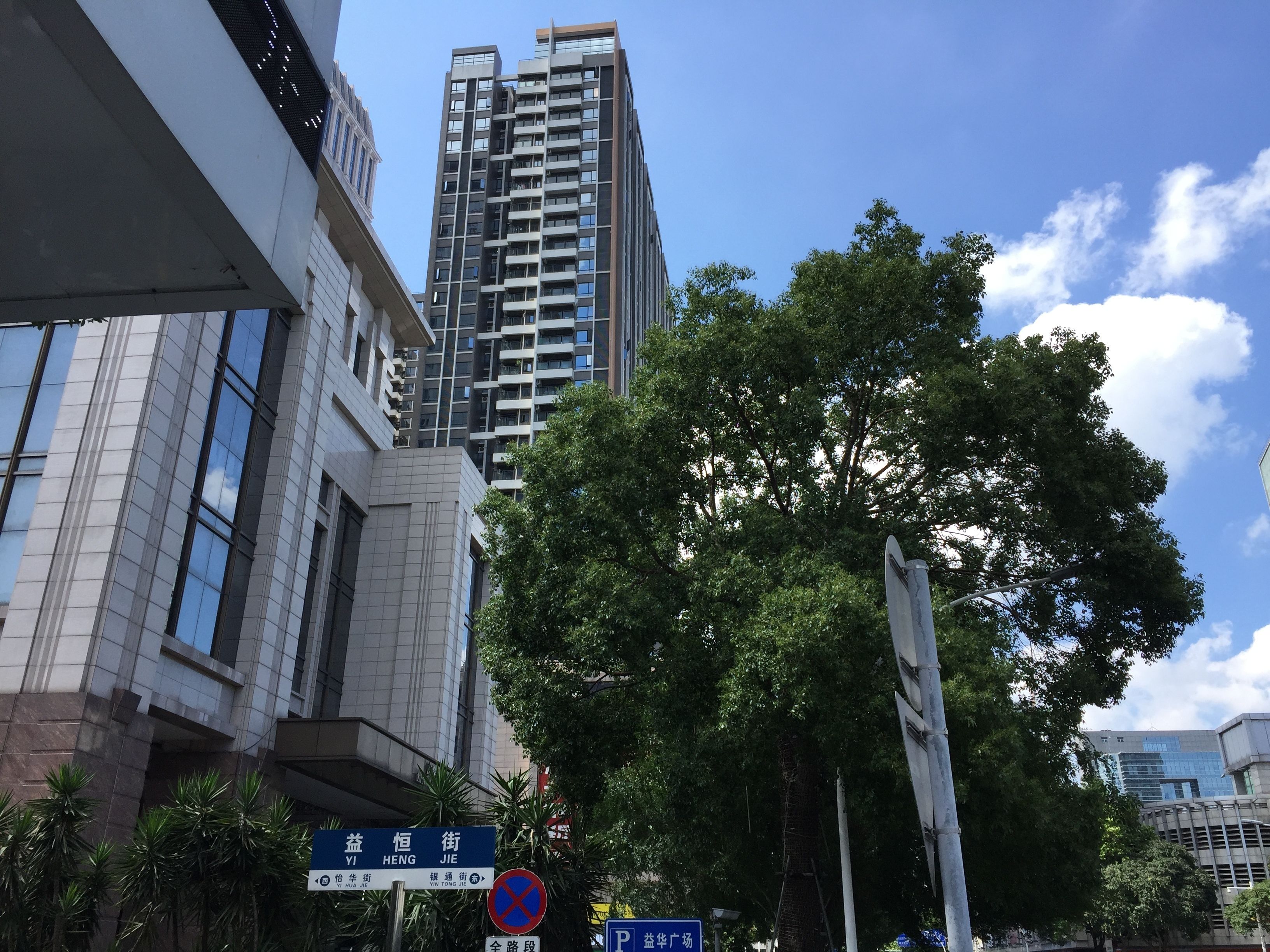 A modern urban street with high-rise buildings, a clear blue sky, and a large tree in the foreground.