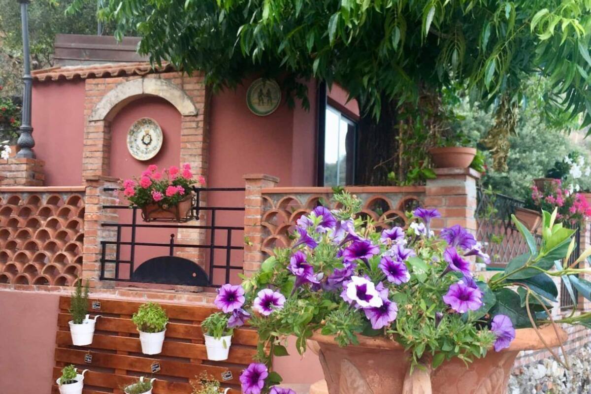 Un espace patio agrémenté d’un mur en briques, d’un banc en bois et d’un grand pot en terre cuite contenant des fleurs violettes.
