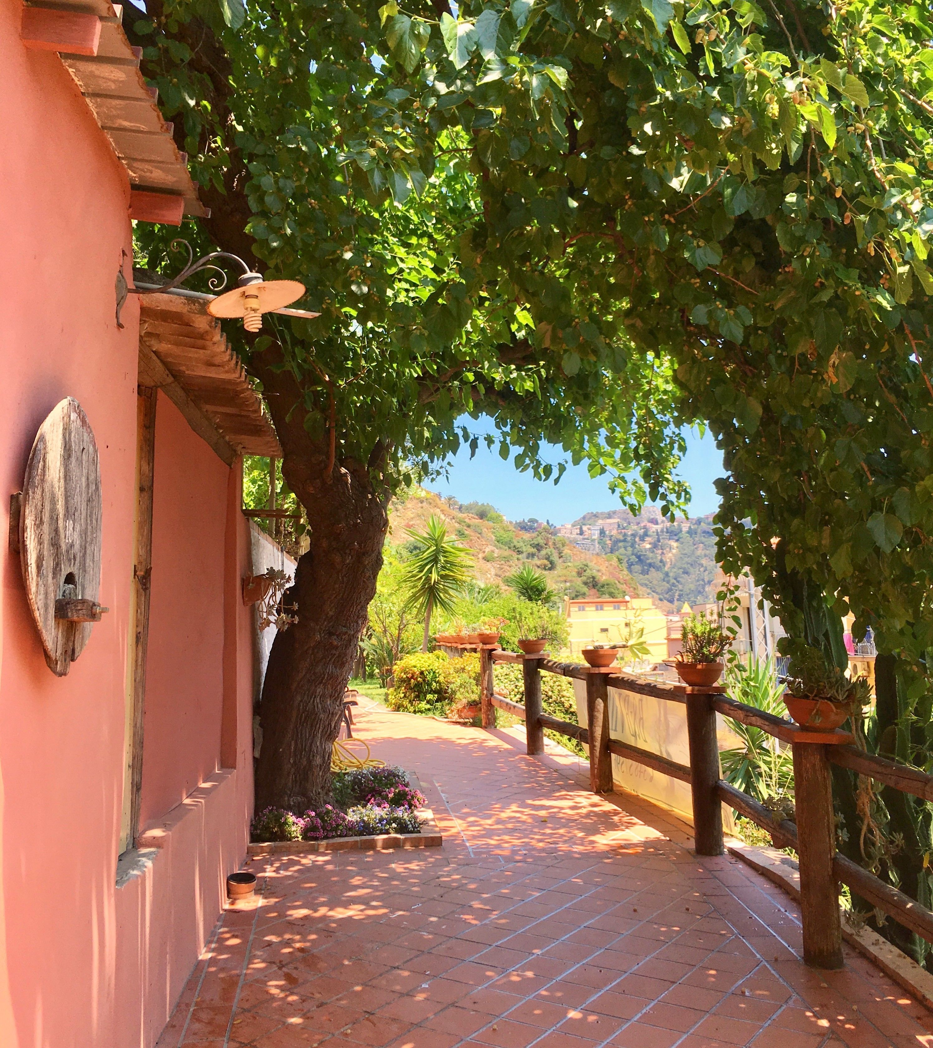 A pathway leading to a building with a pink facade, surrounded by lush greenery and potted plants.