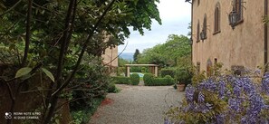 Property grounds - Villa XVI sec With salt water pool  Wifi A/C in a fenced area                   (Lucca)
