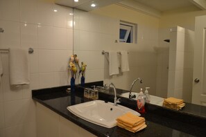 Shower, hair dryer, towels, soap - Wunderful tropical Villa with swimmingpool  for 2 persons (Willemstad)