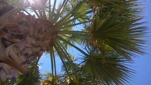 Property grounds - Apartment “Old Hersonissos” (traditional village) (Griechenland)