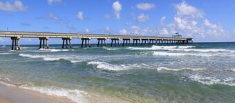 Tropical dream heated pool home