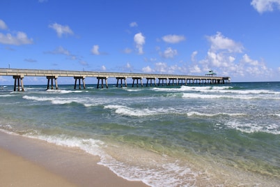 Tropical dream heated pool home