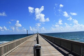 Beach/ocean view - Tropical dream heated pool home (Deerfield Beach)