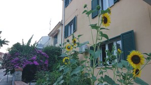 A row of buildings with sunflowers and bougainvillea plants in front. - Beach House Split (Split)