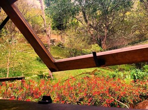 Garden - Casa Fazenda Inglesa (Petrópolis)