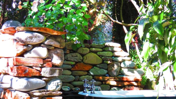 Unclassified image, 1 of 47, button - The Shady Rest B&B (Takaka)