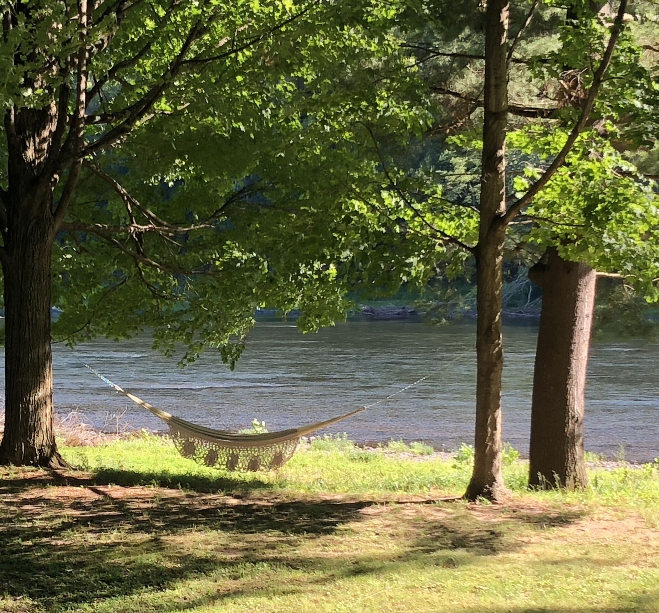RiverDream offers an elevated experience in chic Narrowsburg
