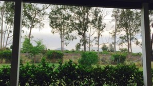 Une vue à travers une fenêtre à cadre métallique, donnant sur un jardin où l’on aperçoit différents arbres et arbustes.