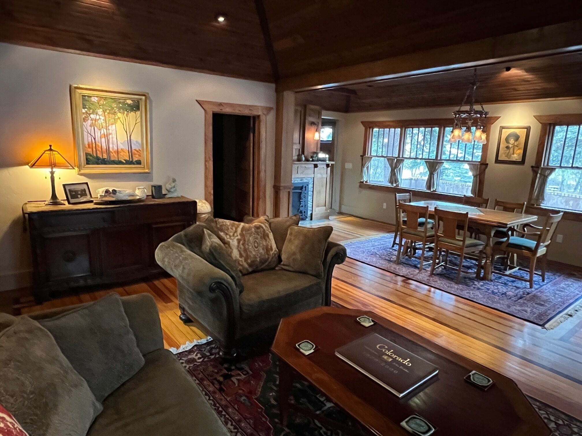 Smart TV, fireplace, DVD player, books