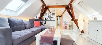 Friendly Home - "Helles Dachstudio" - Cologne - Fair - Bonn - Phantasialand