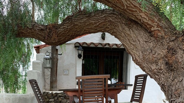 Un espace extérieur aménagé avec un sol en pierre, des meubles en bois et un grand arbre qui offre de l’ombre.