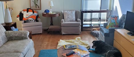 电视、DVD 播放器、书、影片库