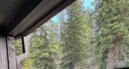 Family/ Pet Friendly Downtown Winter Park Condo 3BD/2BA