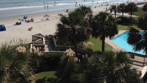 A beach view with a pool and palm trees. - Check This One Out! Best Location-Quiet And Nice Wide Beach-Direct Ocean Front (Myrtle Beach)