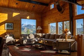 智能电视、壁炉、DVD 播放器、书