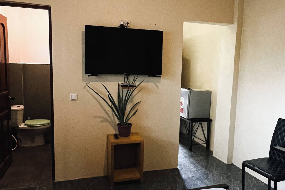 Quarto de hotel com cama, televisão na parede, uma mesinha com uma planta e uma cadeira.