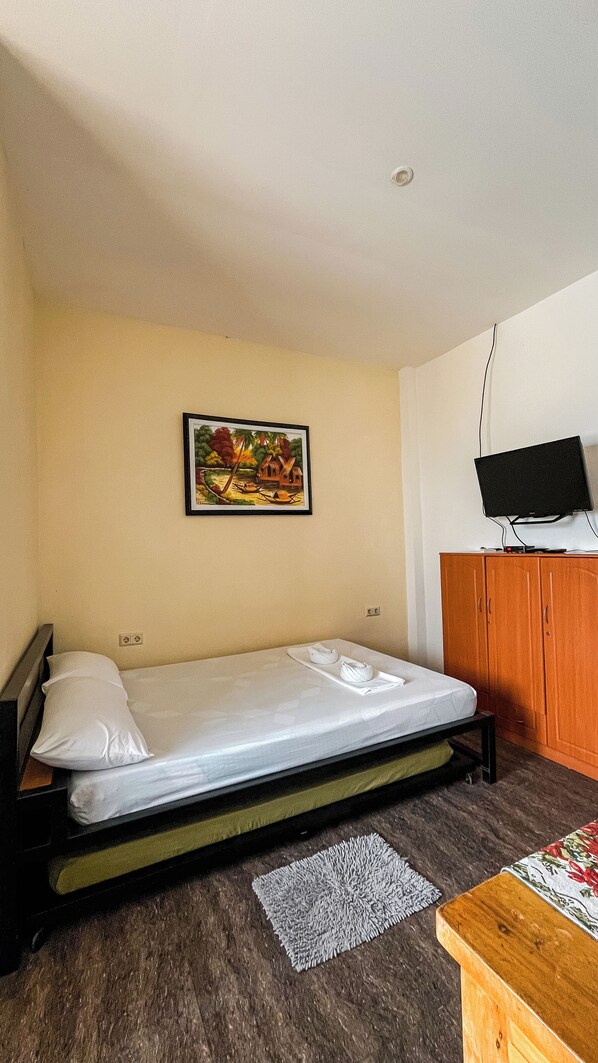 Una cama individual con colchón, almohadas, una mesita de noche, un televisor sobre un mueble, un armario de madera y un cuadro en la pared.