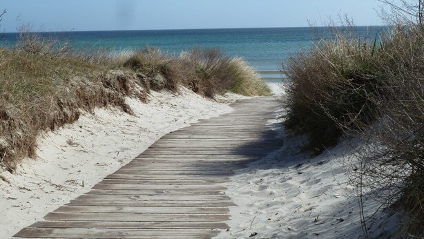 Ein hölzerner Steg führt zum Strand, umgeben von Sand und vereinzelter Vegetation.