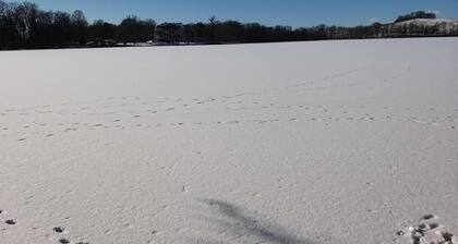 Maison de vacances Old Cabinet