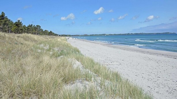 Uma praia com areia, grama e céu claro.