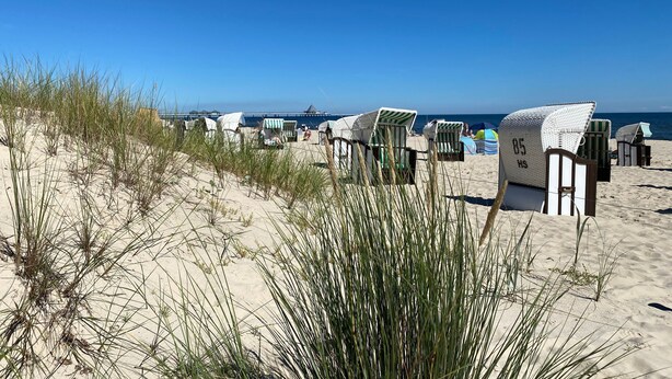 A beach with rows of beach chairs and umbrellas, a clear blue sky, and the ocean in the background. - House Nemo, App. 8, Germany (Heringsdorf)