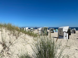 Une plage bordée de rangées de chaises longues et de parasols, un ciel bleu dégagé et l’océan en toile de fond.