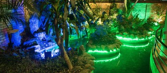Spring Garden Villa