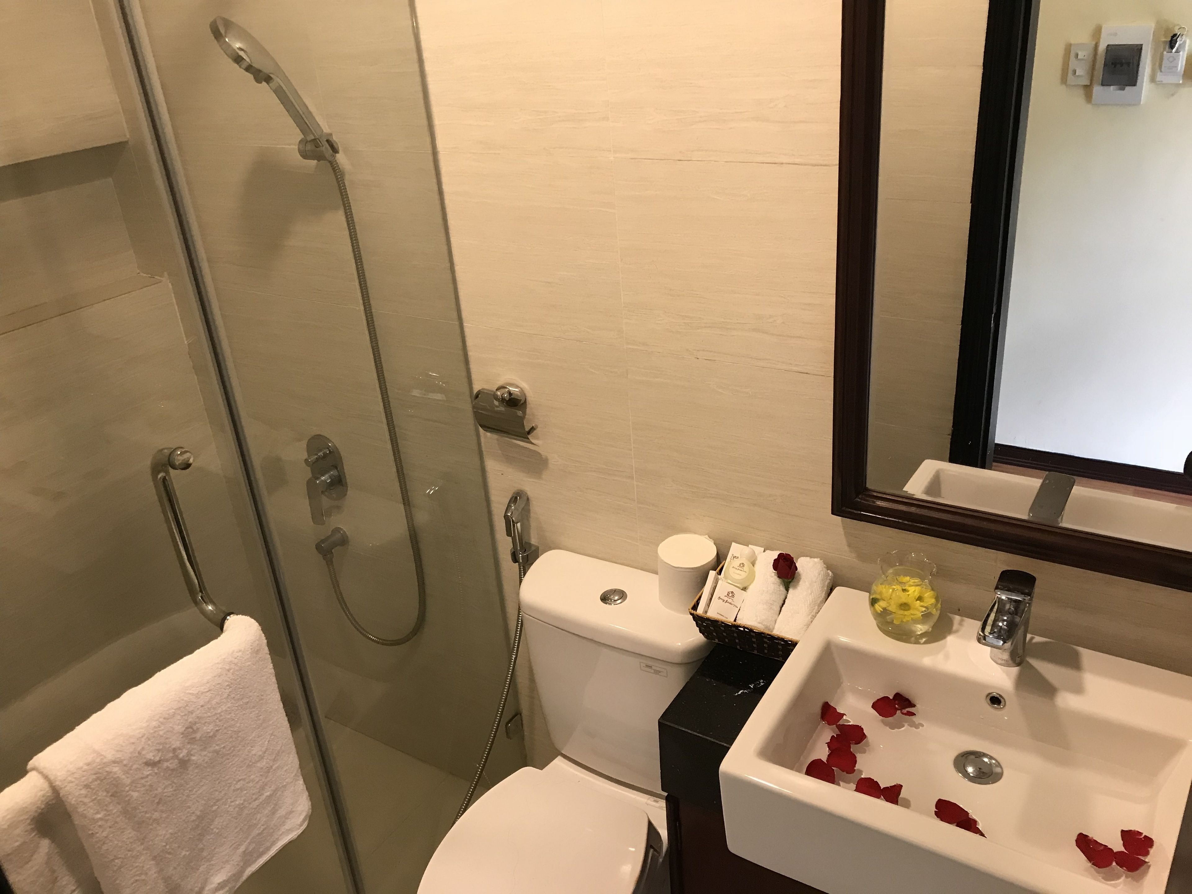 Un baño con ducha de vidrio, inodoro blanco, lavabo con pétalos de rosa y un espejo.