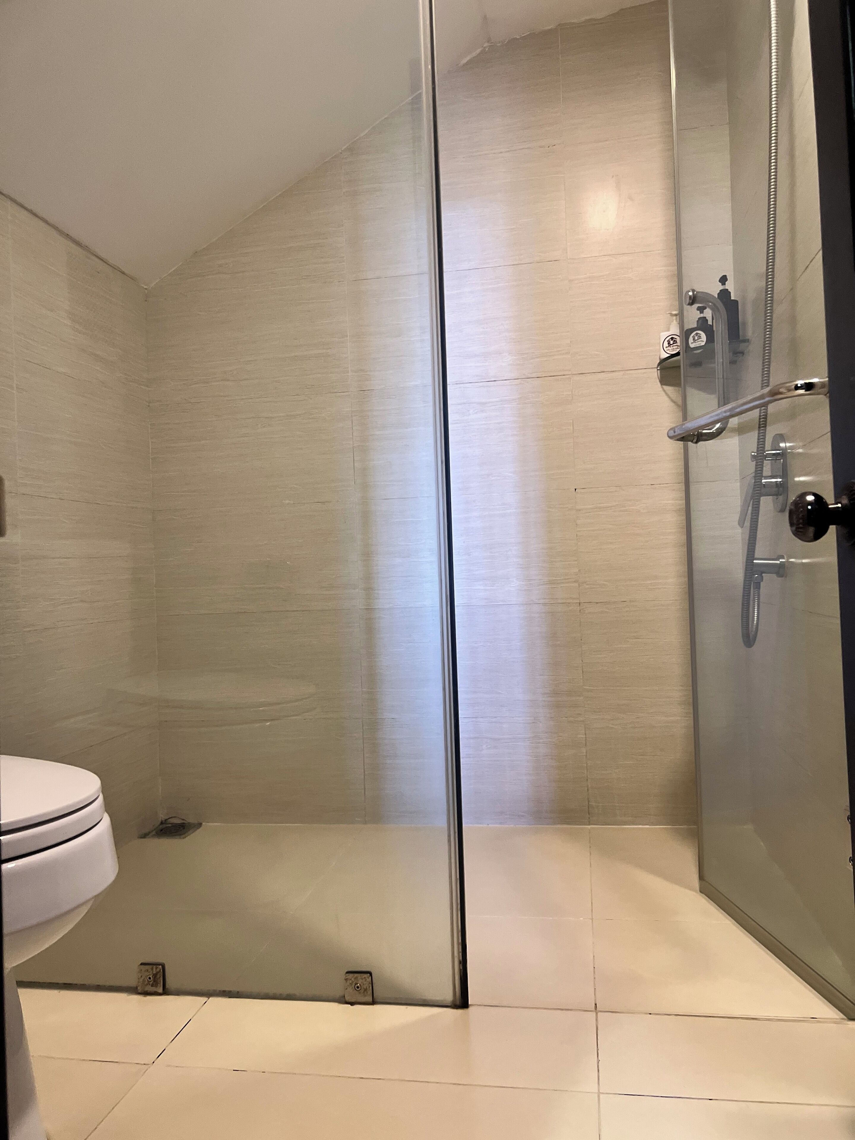 Une cabine de douche fermée par des parois en verre, avec des toilettes sur le côté gauche.