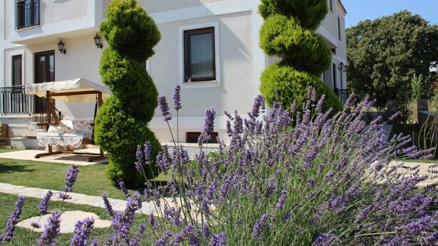 Un edificio blanco con múltiples ventanas y un jardín cuidado con plantas de lavanda y setos topiarios perfectamente recortados.