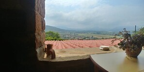 A view from a window overlooking a red-tiled roof, a distant landscape, and a potted plant.