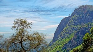 A mountainous landscape with a prominent cliff and a tree in the foreground. - Nature Mount Pavilion Ella (Ella)
