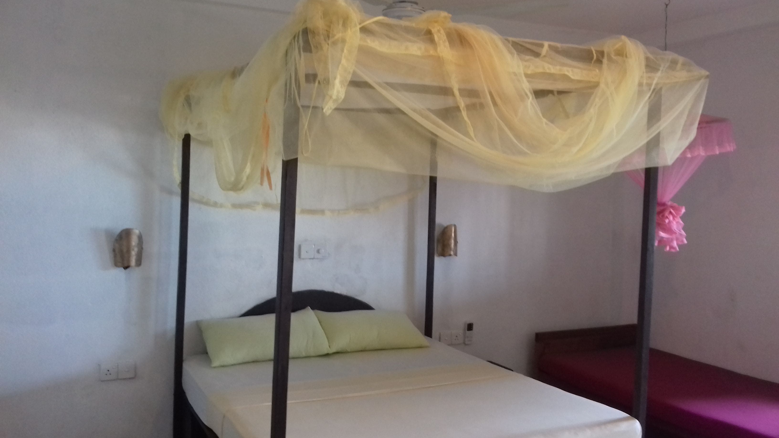 A single bed with a canopy, a bedside table, and a wall-mounted light fixture.