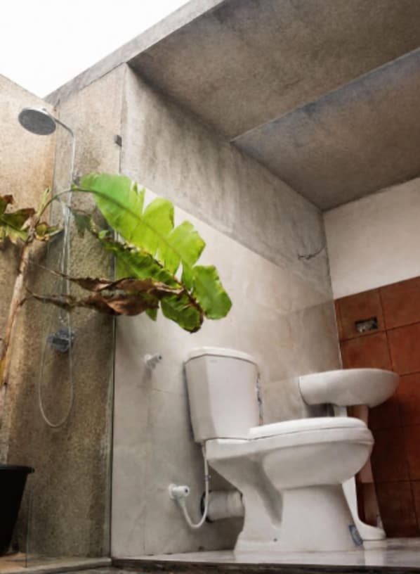 Casa de banho com chuveiro, sanita e uma planta em vaso.