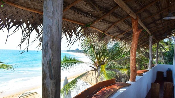 A beachside hut with a thatched roof, overlooking the ocean. - villa crocodile beach (Hikkaduwa)