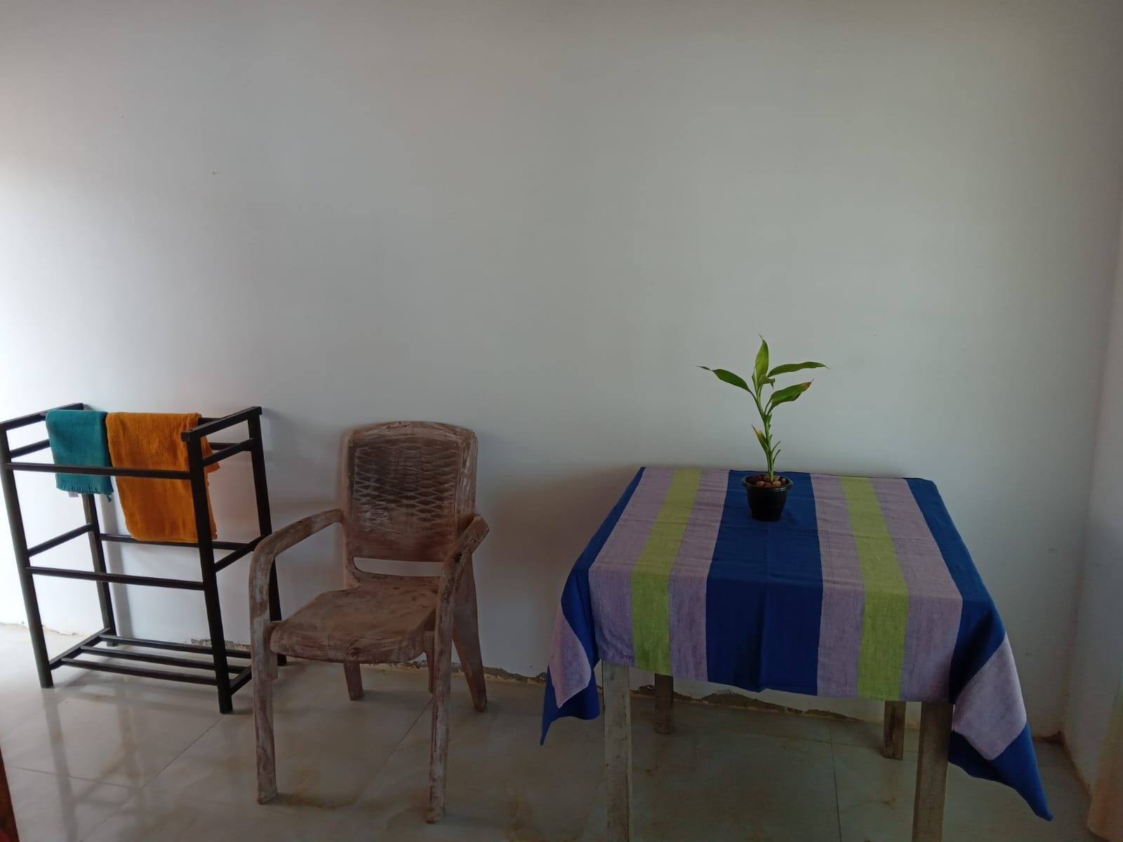 A room with a wooden chair, a small table with a striped tablecloth, and a potted plant.